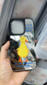 正屋CASETi蔡依林白敬亭同款純色高清鏡面15Pro適用iPhone14ProMax蘋果13Pro手機殼12防摔11透明14plus CASETiFY 黃色小鴨子 正版鏡面【白敬亭同款 iPhone 曬單實拍圖