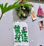 毛戈平柔紗幻顏腮紅盤(pán)修容自然提亮啞光806膨脹色顯氣色送女友禮物 純凈早櫻806 曬單實(shí)拍圖