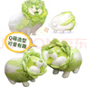 威爾通（WELTSTON）蔬菜精靈毛絨玩具公仔玩偶娃娃抱枕生日七夕情人節(jié)禮物 菜狗30cm 曬單實(shí)拍圖