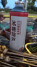 金星啤酒陳皮精釀啤酒荊芥綠豆百香果冰糖葫蘆多種口味中式精釀啤酒 新囗味組合裝 6L 6罐 組合裝 曬單實拍圖