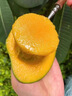 四川攀枝花凱特芒果應(yīng)季新鮮熱帶孕婦水果特大青芒現(xiàn)摘整箱芒果 5斤 實(shí)惠中果【單果4-6兩】 曬單實(shí)拍圖