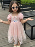 G.DUCKKIDS童裝女童愛莎公主裙夏季洋氣兒童裙子夏季禮服裙小女孩六一表演服 藍(lán)色裙子 110 (建議100cm 4-5歲左右)cm 曬單實拍圖