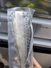 彈指鮮生 挪威青花魚(yú) 大西洋鯖魚(yú) 冷凍鮐鲅魚(yú)固形物≥80% 生鮮 魚(yú)類青魚(yú) 1袋裝  6片 凈重920g 曬單實(shí)拍圖