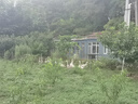 豪庭（HAOTING）稱重電子秤商用高精度廚房秤食品秤千克秤超市菜場(chǎng)水果蔬菜30kg公斤計(jì)價(jià)秤臺(tái)秤 【八倉(cāng)速發(fā)】液晶不銹鋼凹盤 曬單實(shí)拍圖