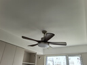 TCL[包安裝]中古風客廳風扇燈中式古銅色臥室大風力吊扇一體餐廳燈具 吊桿46寸/5葉/全光譜/遙控72W 曬單實拍圖
