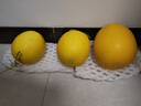 金百粟頭茬甘肅民勤蜜瓜 新鮮水果金紅寶銀蒂蜜瓜現(xiàn)摘甜瓜香瓜黃河蜜瓜 金紅寶凈重8斤+【3個瓜爆甜】 曬單實拍圖