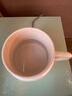 藍小爸 養(yǎng)生壺全自動多功能燒水杯熱奶杯小型電煮杯迷你便攜式電熱水杯煮茶器辦公室一人燉煮杯早餐杯 奶油黃 0.8L 【禮盒包裝】 曬單實拍圖