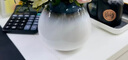 德國(guó)唯寶（Villeroy&Boch）樂夫系列 進(jìn)口花瓶客廳擺件 插花藝術(shù)擺設(shè) 歐式花瓶 點(diǎn)紋藍(lán)白（?。?曬單實(shí)拍圖