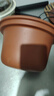 九陽電燉鍋3.5L4L5L升JYZS-K523/DGD50-05AK紫砂煲電燉鍋內(nèi)膽配件 九陽5L 紫砂內(nèi)膽 曬單實拍圖
