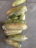 【云南高原玉米】現(xiàn)摘新鮮水果玉米新鮮甜玉米棒生鮮蔬菜可生吃 新鮮水果玉米 9斤 凈重 300g起 曬單實(shí)拍圖