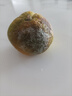 粵迎云南蜜桔酸甜口感特早熟桔子青皮蜜橘新鮮水果當季整箱青皮柑子 9斤精選果【單果50mm+】凈8.5斤 曬單實拍圖