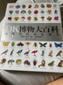 【官方自營】DK博物大百科：自然界的視覺盛宴（集科學(xué)、美學(xué)和收藏價值于一體的全年齡段科普百科全書！一部家中常備的自然博物館?。┦罴僮鳂I(yè) 一升二暑假銜接 小升初暑假銜接 曬單實(shí)拍圖
