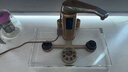 金灶（KAMJOVE）自動(dòng)上水電熱水壺 高硼硅玻璃電茶壺茶臺(tái)燒水壺?zé)蟛枰惑w機(jī)水晶玻璃底座 B8 0.8L 曬單實(shí)拍圖