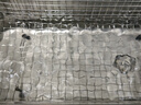 析牛科技超聲波清洗機(jī)實驗室大容量可調(diào)清洗器零件眼鏡牙齒清潔器 XU-DK-008經(jīng)濟(jì)款（0.8L+1振頭） 曬單實拍圖