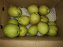 京鮮生 新疆庫(kù)爾勒香梨 凈重5斤 一級(jí) 單果100g-120g  生鮮水果 曬單實(shí)拍圖