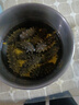 參福元 長(zhǎng)島底播淡干海參 50g 5-9頭/盒 7年簡(jiǎn)裝 曬單實(shí)拍圖