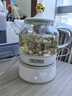 膳魔師（THERMOS） 迷你養(yǎng)生壺辦公室煮茶器電水壺恒溫電熱水壺玻璃花茶壺養(yǎng)生杯 禮物 EHA-1602E （奶油白0.55L） 0.55L 曬單實(shí)拍圖