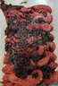 1號會(huì )員店（One's Member）麻辣小龍蝦2.4斤（4-6錢(qián)）22-25只/600g*2盒 夜宵【山姆同廠(chǎng)】 曬單實(shí)拍圖