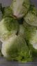 綠食者 球生菜10斤 漢堡用西生菜圓生菜西餐沙拉色拉食材 健康輕食蔬菜 20斤 曬單實(shí)拍圖