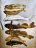 漢鼎一號(hào)6代魚(yú)竿超輕手竿5.4米臺(tái)釣竿鯽魚(yú)竿碳纖維手桿 綜合5.4米 曬單實(shí)拍圖
