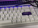 MelGeekMADE68 PRO+磁軸鍵盤TTC萬磁王紫心軸RT0.01電競游戲客制化機械無畏契約打瓦小蜜蜂情侶 MADE68 PRO+紫光【紫心軸】 有線MelGeek 68鍵 曬單實拍圖