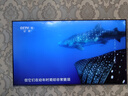 海信電視E7N Pro 65英寸信芯芯片H6 U+Mini LED墨晶屏 300Hz高刷AI智能65E7N-PRO國家補貼20% 曬單實拍圖