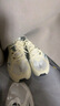 安踏C37+丨男鞋運動鞋秋季跳繩鞋休閑跑步鞋子男 淺米白/遠足綠-2 42.5 (男) 曬單實拍圖