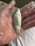 漢鼎幻小黑路滑竿路亞竿套裝鰱鳙鯉鯽魚紡車輪全套滑漂大導(dǎo)環(huán)遠(yuǎn)投魚竿 2.13m 【路滑-鯉 曬單實拍圖