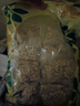 嘟赴炒薏仁開袋即食直接吃爆米花炒薏苡仁薏米柴火零食五谷雜糧1.2斤 曬單實(shí)拍圖