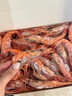 文勤北極甜蝦刺身 原箱裝進(jìn)口 生吃甜蝦特大號即食天然刺身料理 刺身甜蝦 1kg(凈重)  4L 41-45只 1KG/盒 進(jìn)口原箱裝 曬單實(shí)拍圖