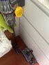 戴森（DYSON）V10n Digital Slim Nautik 輕量洗地吸塵器 無線家用除螨寵物 吸拖一體干濕兩用洗地機吸塵器 曬單實拍圖