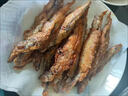 多春魚新鮮滿籽新鮮多籽魚帶籽冷凍肉質細嫩鮮活毛鱗魚柳葉魚海魚 500g（1斤1包） 家庭下酒菜 大號滿籽多春魚2斤 曬單實拍圖