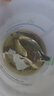 海名威 冷凍東海小黃魚 凈含量3斤(內(nèi)含3小包)  生鮮魚類 海鮮水產(chǎn) 海魚 曬單實(shí)拍圖