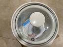 美的（Midea）煲湯電燉鍋3-4人用 電砂鍋煲湯鍋燉湯盅電燉鍋直燉紫砂陶瓷燉鍋電燉鍋2-3人慢燉煮粥煲粥鍋電湯煲 白瓷內(nèi)膽 DG30E201【3L=10碗】 3L 曬單實(shí)拍圖