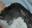 泊泉雅去黑頭撕拉式面膜膏竹炭清潔粉刺白頭鼻膜膏收縮毛孔T區(qū)護(hù)理套裝 【鼻膜膏+導(dǎo)出液+精華水】 曬單實(shí)拍圖