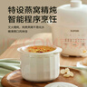 蘇泊爾（SUPOR） 電燉鍋 電燉盅 燕窩燉 寶寶輔食 嬰兒煮粥鍋1L精巧容量 迷你煮粥煲湯鍋隔水燉DZ10YC882 曬單實拍圖