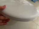 惠達（HUIDA） 馬桶蓋通用加厚家用坐便器蓋板緩降靜音V型U型馬桶圈配件老式 大U型：S6190適合長度430-470mm 曬單實拍圖