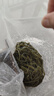 清鮮時(shí)光 鹽漬海帶絲長(zhǎng)絲 3斤凈重  源頭直發(fā)包郵 新鮮昆布絲火鍋涼拌燉煮 曬單實(shí)拍圖