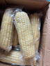 京鮮生東北白糯玉米250g*10棒 新鮮甜糯玉米棒真空包裝粘玉米 源頭直發(fā) 曬單實拍圖