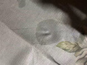 優(yōu)潔士頑固污漬干洗劑150ml *1瓶衣物清洗劑免水洗汽車內(nèi)飾沙發(fā)清洗液 曬單實(shí)拍圖