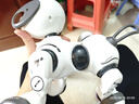 盈佳智能機器狗兒童玩具男孩女孩小孩嬰幼兒編程早教機器人生日禮物 曬單實拍圖