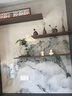 OEMG文竹辦公室桌面客廳室內(nèi)花卉植物玄關盆栽綠植盆景擺件創(chuàng)意 懸空文竹 曬單實拍圖