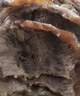 牛腿肉】原切黃牛肉散養(yǎng)內(nèi)蒙古生牛肉牛腿肉新鮮后腿冷凍 原切牛腿肉5斤 曬單實(shí)拍圖