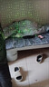 曇蓓漫激光筆手電筒二合一強光燈遠(yuǎn)射戶外工地小型便攜充電款綠光售樓燈 激光手電二合一【黑色】 頭部激光 尾部白光 曬單實拍圖