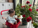 kidpop兒童多功能小推車(chē)玩具學(xué)步車(chē)男女寶寶生日創(chuàng)意禮物 7-36個(gè)月價(jià)保 紅色（PP材質(zhì)車(chē)斗）贈(zèng)防傾倒?fàn)坷K 曬單實(shí)拍圖