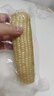 京鮮生 東北白糯玉米230g*8棒 新鮮甜糯玉米棒真空包裝粘玉米 源頭直發(fā) 曬單實(shí)拍圖