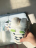 Next Kiss英國聯(lián)名熊貓雙飲保溫杯帶吸管男孩食品級小學(xué)生上學(xué)水杯直飲壺 熊貓白 540ml 曬單實(shí)拍圖