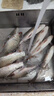 名犀追漁姑娘巨鯪方塊料方塊魚(yú)餌料正品土鯪魚(yú)翻板鉤野釣海桿拋竿窩料 1包 追漁姑娘【巨鯪】花生奶800g 曬單實(shí)拍圖