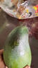 廣西百色田東桂七芒果9斤新鮮熱帶水果青皮桂7香芒當季現(xiàn)摘整箱 9斤 精選大果【單果200-250g】 曬單實拍圖