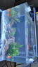 西游水族魚(yú)缸造景全套熱彎玻璃缸客廳小型桌面免換水生態(tài)草缸迷你金魚(yú)缸 長(cháng)35*寬20*高22-峽谷款造景全套 曬單實(shí)拍圖